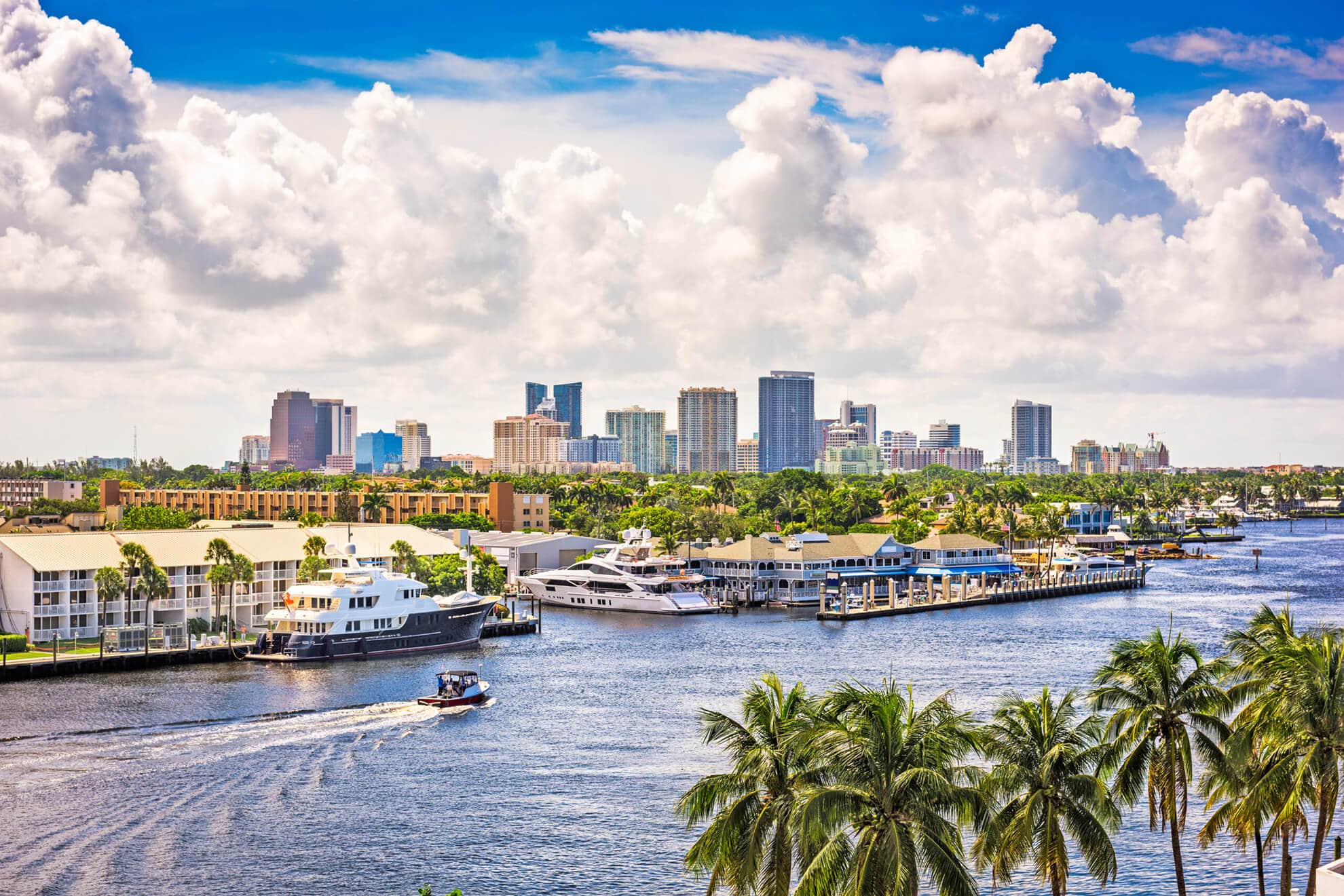 A city skyline with palm trees and boats on the water.