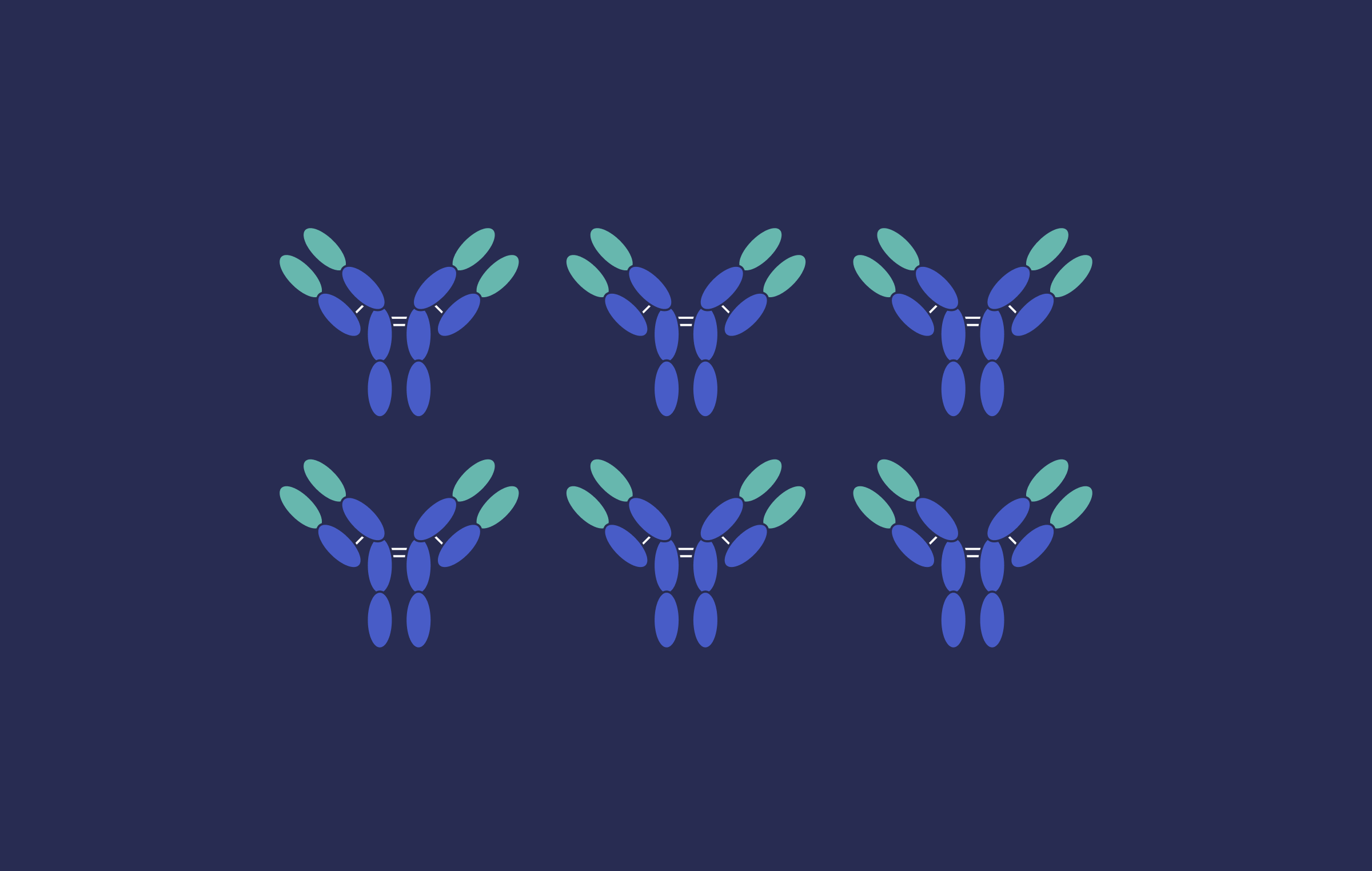 Next generation maleimides (NGMs)